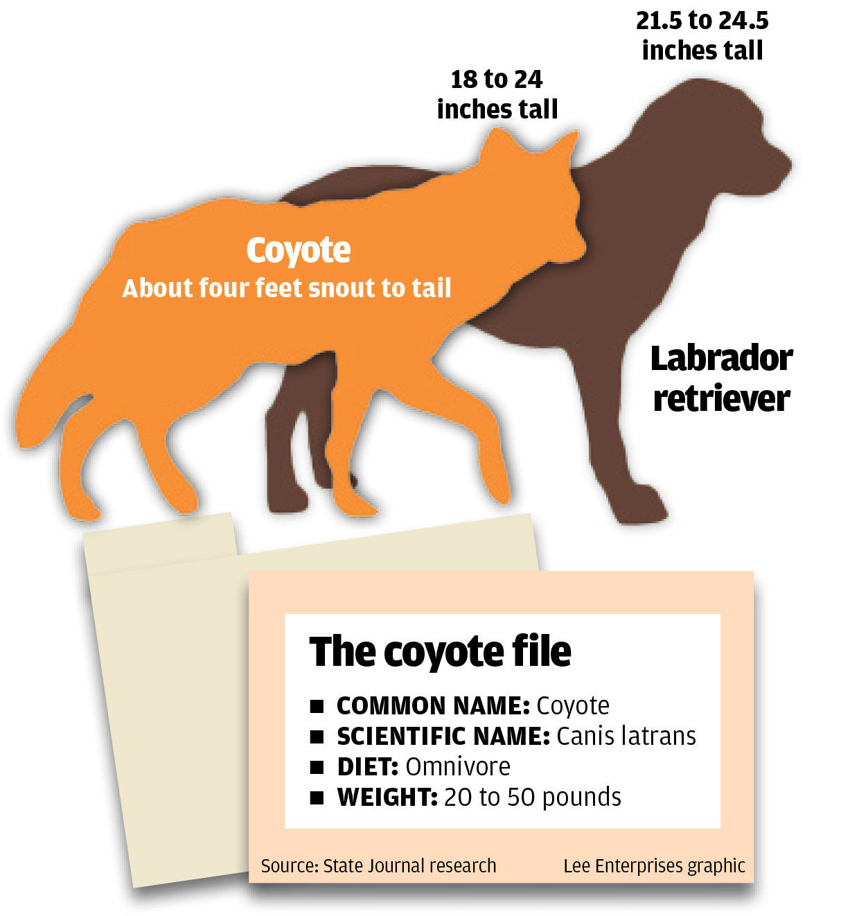 The coyote file
